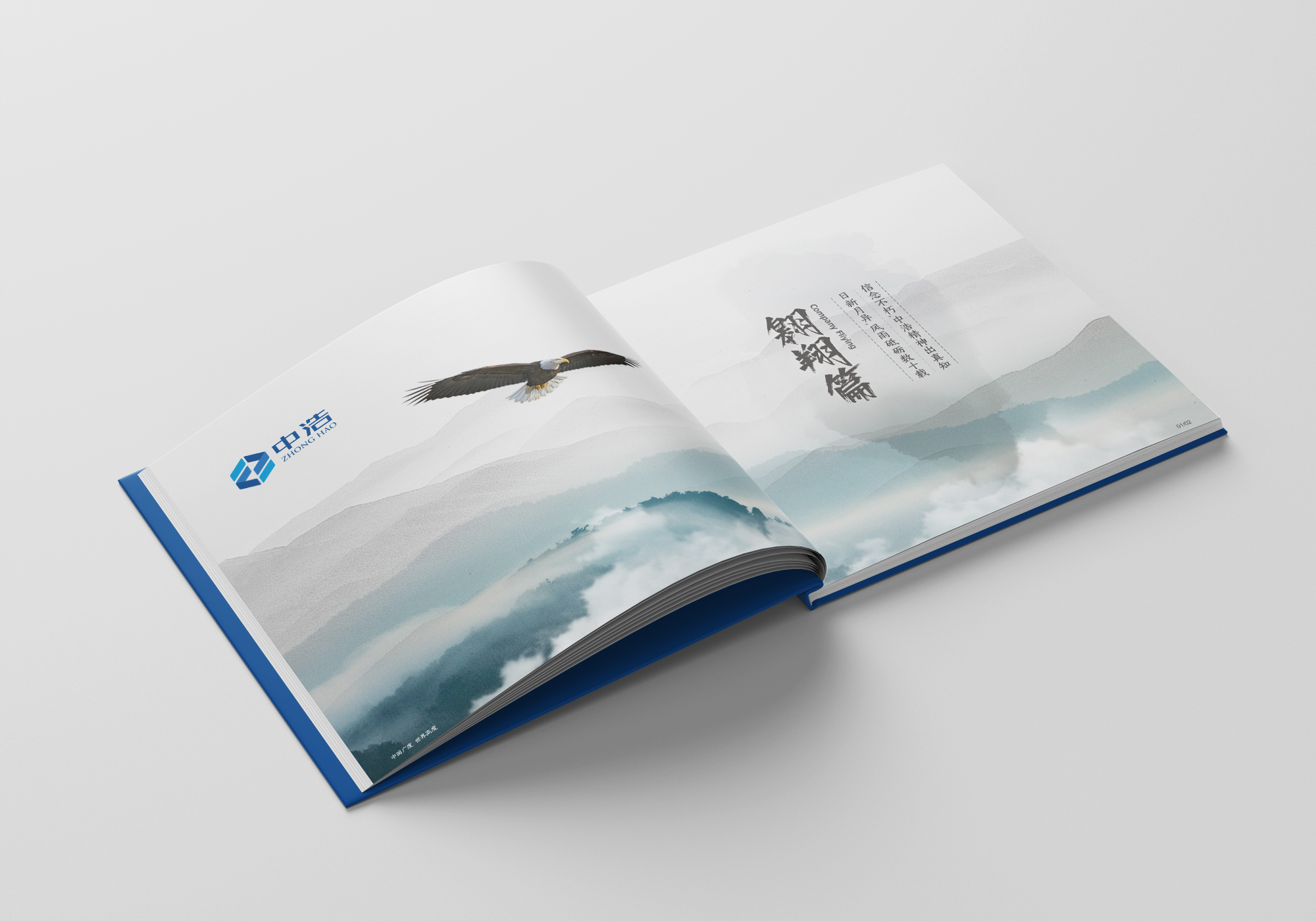 中浩地產(chǎn)畫冊設(shè)計